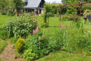 Visite d’un jardin àTreis-Sants-en-Ouche