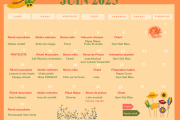 planning juin